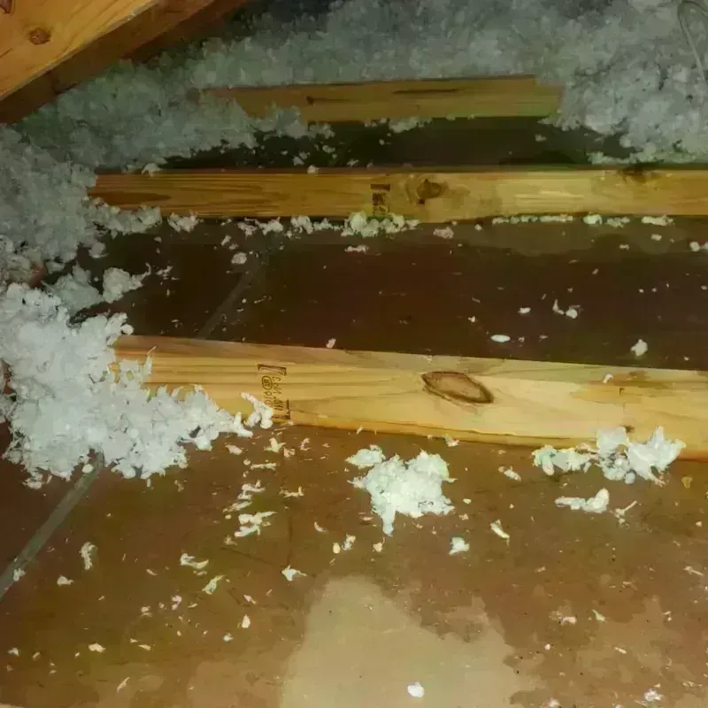 Attic Water Damage in La Presa, CA