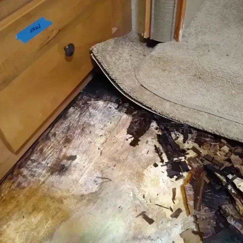 Best Wood Floor Water Damage Service in La Presa, CA